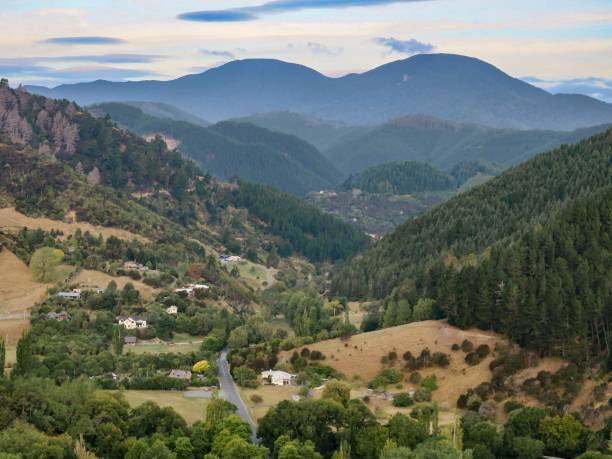 istock Forested Hills in New Zealand 2150957709
