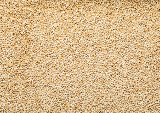 White healthy bolivian quinoa balanda grain seed textured background.