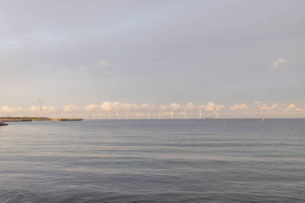This serene stock image captures a line of offshore wind turbines standing tall against a softly lit evening sky. Positioned in the tranquil sea, these turbines represent a sustainable approach to energy production. The calm waters and the distant horizon are bathed in the gentle hues of the sunset, symbolizing hope and the potential of renewable energy in harmonizing with the natural environment.
