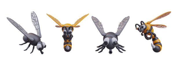 istock Black fly and striped wasp in different positions. Household and wild pests 2150959752