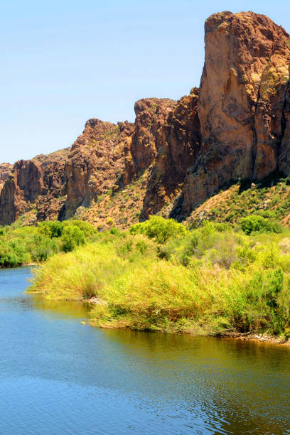 istock Salt River Recreation Area Arizona 2150961967