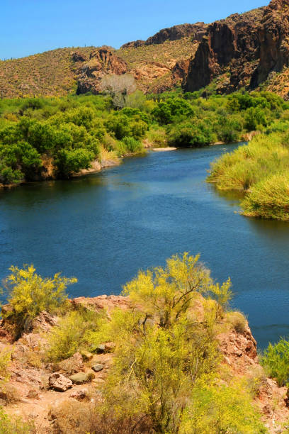 istock Salt River Recreation Area Arizona 2150961976