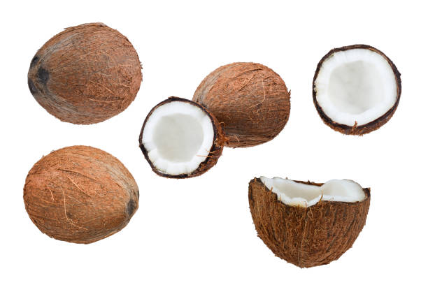istock Coconut isolated on white background. Space for text or design. 2150970072