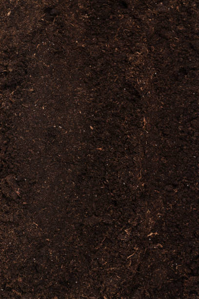 istock Soil for plant isolated on white background. 2150970132
