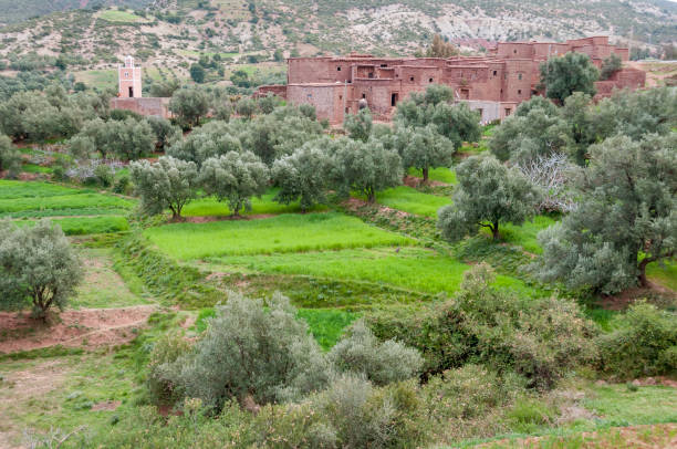 istock Rural landscape in southern Morocco 2150970300