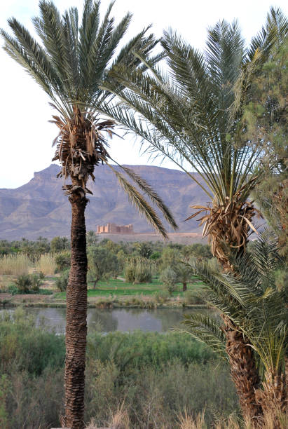 istock Palm trees and landscape in the Draa valley, southern Morocco 2150970432