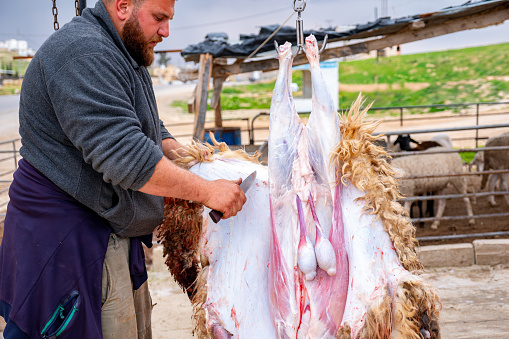 The butcher is cutting the sheep while it is hanging as a sacrifice for Allah, like Aqiqah, Nather, and Eid al-Adha, for the benefit of the less fortunate people