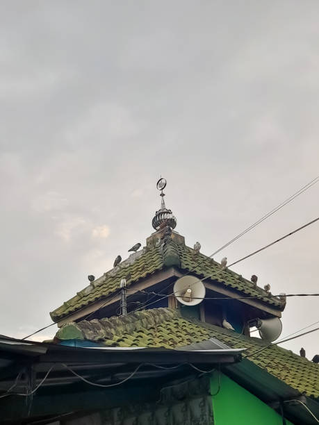 istock pigeons perched on the roof tiles 2150972958