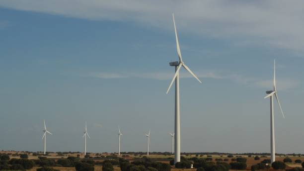 istock Views of wind farm in Andalusia 2150975892