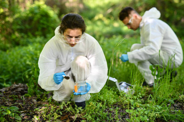 istock Mountain Soil Collected For Testing While Working In Remote Field By Male And Female Biologists 2150976078