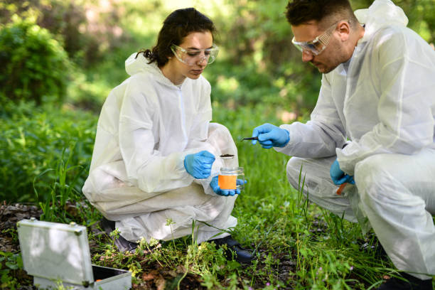 istock Scientist Gathering Fertile Soil And Taking Organic Matter From It In Nature 2150976170