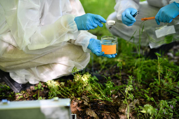 istock Tweezers And Jars Used By Scientists Collecting Samples From The Forest 2150976315