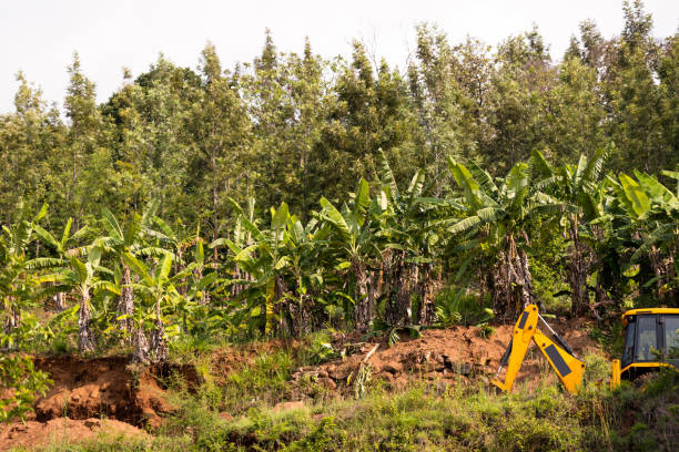A backhoe loader stretches across the landscape under a bright day sky