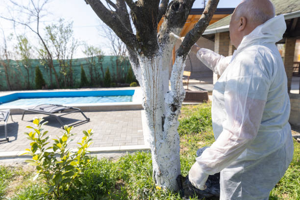 istock Senior Man Painting Tree Trunk 2150983232