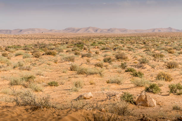 Desert Landscape in Middle East. Surreal view of remote location during the day.