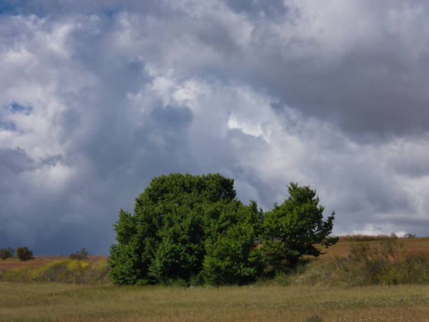 istock landscape, view, rural, spring, plants, clouds, sky, flora, fields, nature, 2150989907
