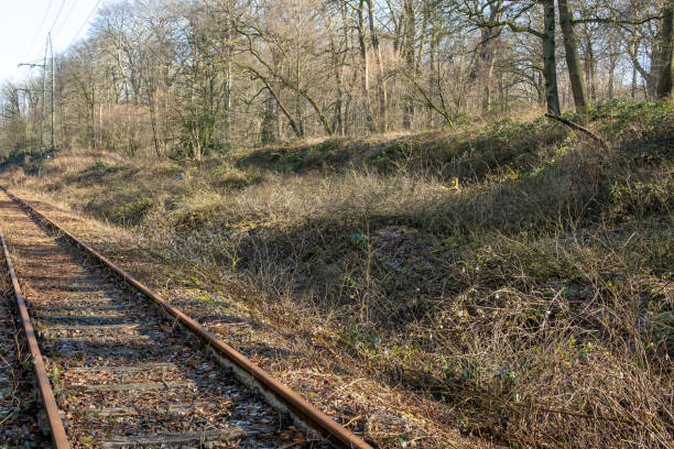 istock railway tracks close up in the green 2150990048