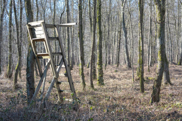 high stand for hunting in the field