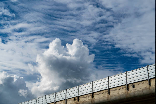 animal-like cumulonimbus