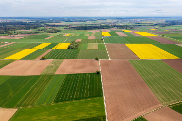 istock Agricultural landscape in spring 2150995084