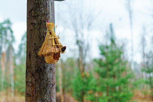 Straw birdhouse feeder in the shape of a house perched on a tree