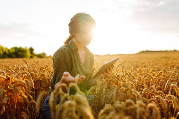 istock Digital tablet in the hands of a young farmer. 2150996038