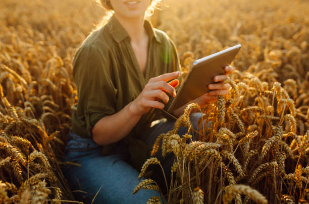 istock Digital tablet in the hands of a young farmer. 2150996080