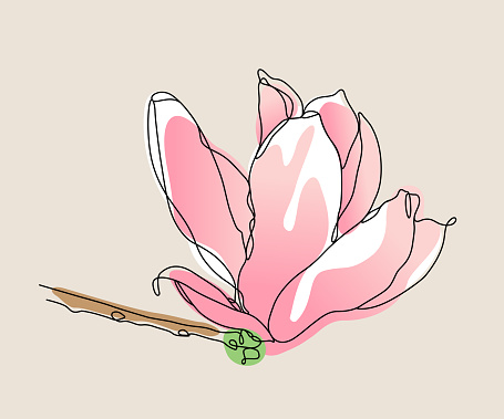 Continuous detailed line drawing of a magnolia flower with boho color accents. This vector illustration has an editable stroke for easy editing.