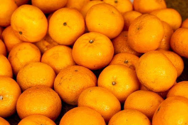 Tangerine stand
