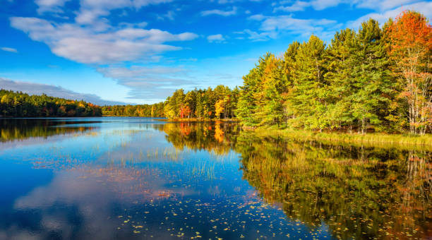 istock Vibrant trees and landscape by the lake. Nova Scotia, Canada 2150999736