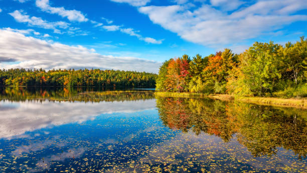 istock Vibrant trees and landscape by the lake. Nova Scotia, Canada 2150999738