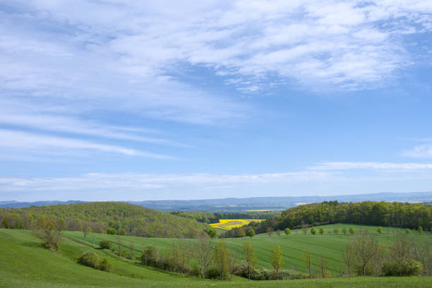 istock Beautiful view across large fields of yellow blooming rape, from a Skywalk in Sonnenstein, Thüringen, Germany 2151000605
