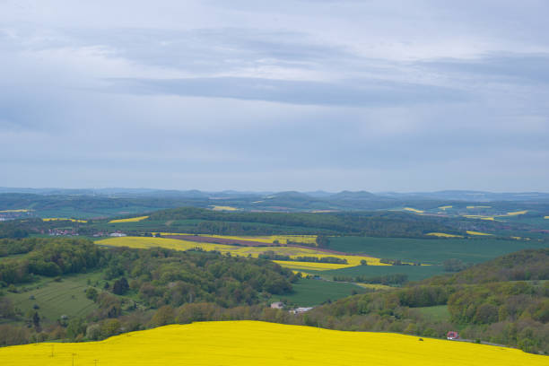istock Beautiful view across large fields of yellow blooming rape, from a Skywalk in Sonnenstein, Thüringen, Germany 2151000662