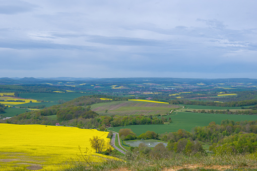 Beautiful view across large fields of yellow blooming rape, from a Skywalk in Sonnenstein, Thüringen, Germany
