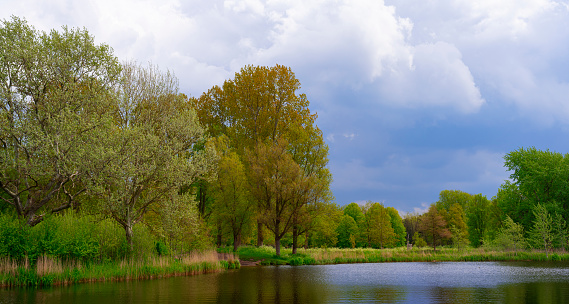 Lake in a park near Heiloo, Netherlands, with trees alongside in overcast conditions