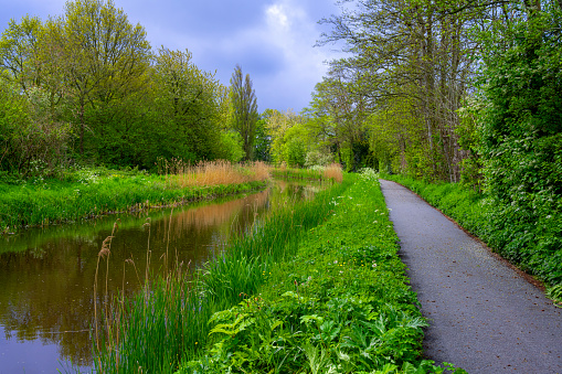 Bicycle path along a ditch with trees and spring flowers alongside near Heiloo, Netherlands