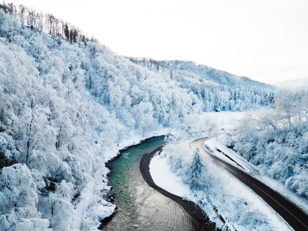 Frozen winter forest and a river running tough it with a road on one side following the river. Beauty in winter nature, white forest and dark blue river.
