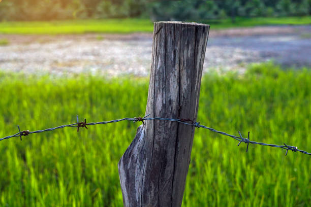 istock barbed wires are wires that are knotted at regular intervals. Each knot has a sharp tip. Used to make fences or obstacles. Soft and selective focus. 2151002215