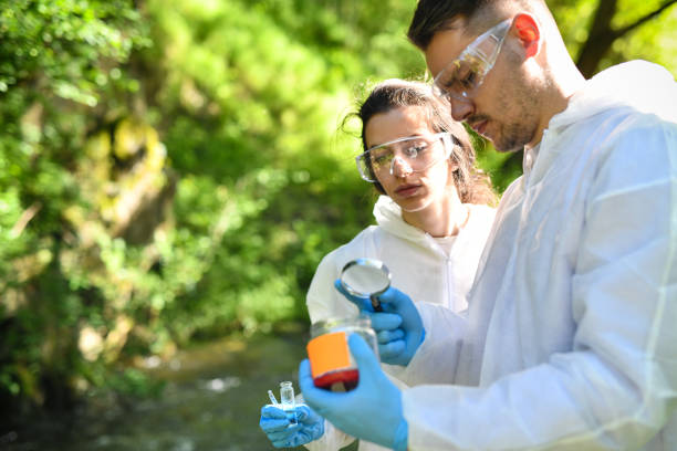 istock Two Scientists With Magnifying Glass Inspecting Samples Gathered In Nature 2151002808