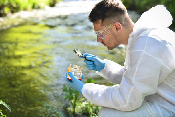 istock Male Scientist Using Magnifying Glass To Inspect Life Forms Gathered In Jar 2151003067