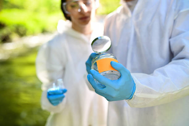 Female Assistant Helping Male Scientist With Sample Inspection In Nature