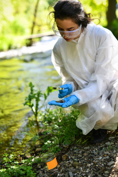 istock Concentrated Female Scientist Inspecting River Pebbles 2151003550