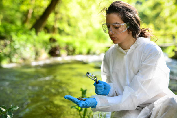 istock Modern Female Scientist Working On Gathering Specific River Pebbles 2151003822