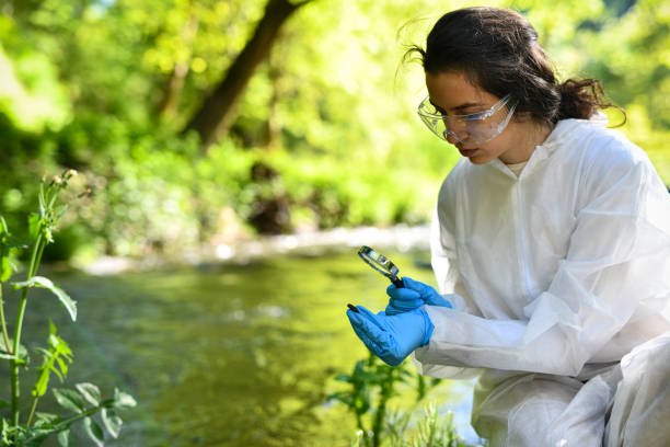 istock Female Scientist Looking For Rare River Pebbles Inspecting Markings 2151003823
