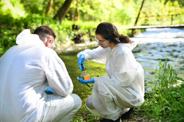 istock Pebbles And Animal Waste Gathered Near River As Samples For Scientific Study By Male And Female Scientists 2151004071