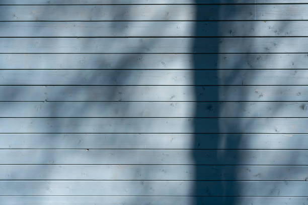 Tree shadow on the wooden wall, abstract background
