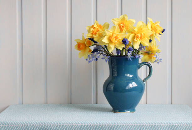 istock yellow garden terry daffodils in a blue jug. 2151006121