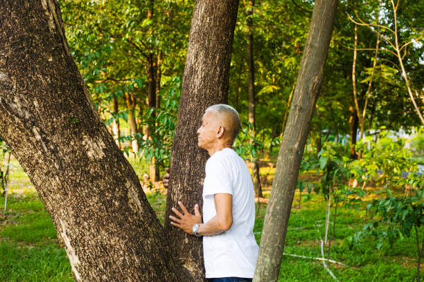 istock Thai senior man at fork of a tree 2151006343