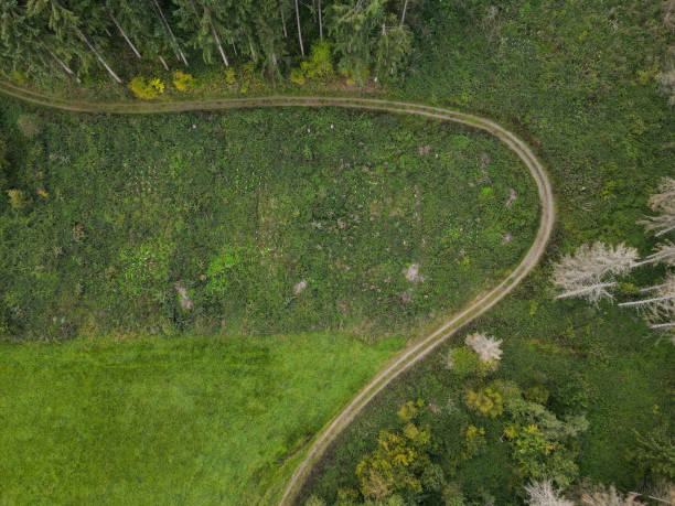 istock Aerial view of a tractor way in the forest 2151006944