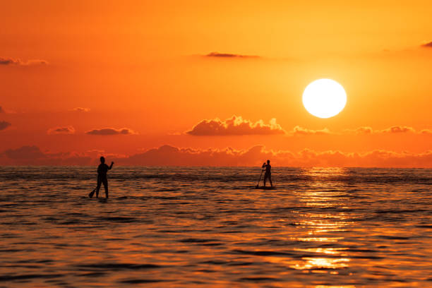 People surfing with a paddle in the sea at sunset